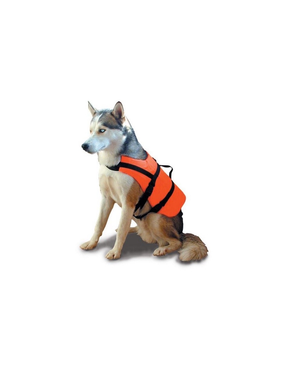 ► BRASSIERE PETIT CHIEN ET CHAT