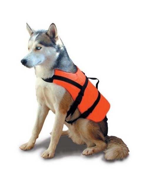 ► BRASSIERE GRAND CHIEN ET CHAT