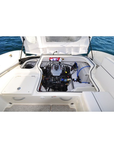 ► EN PACK BAYLINER 642 CU