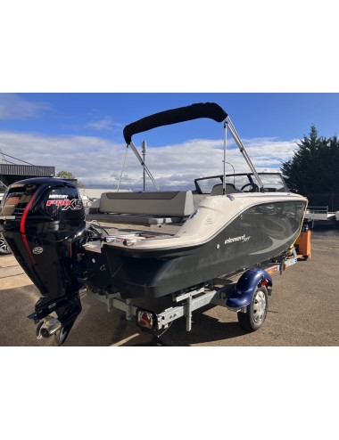 BAYLINER ELEMENT M19