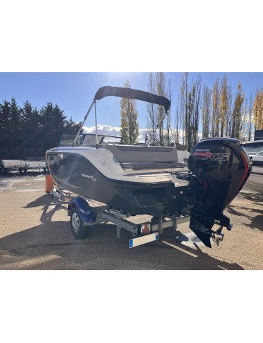 BAYLINER ELEMENT M19