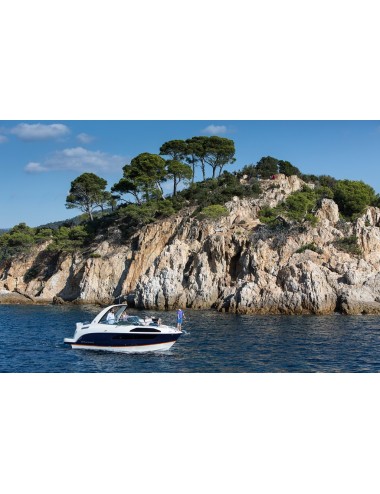 ► BAYLINER CIERA 8